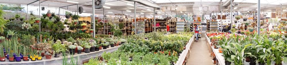 Acessórios, substrato e insumos de jardinagem na Nikey