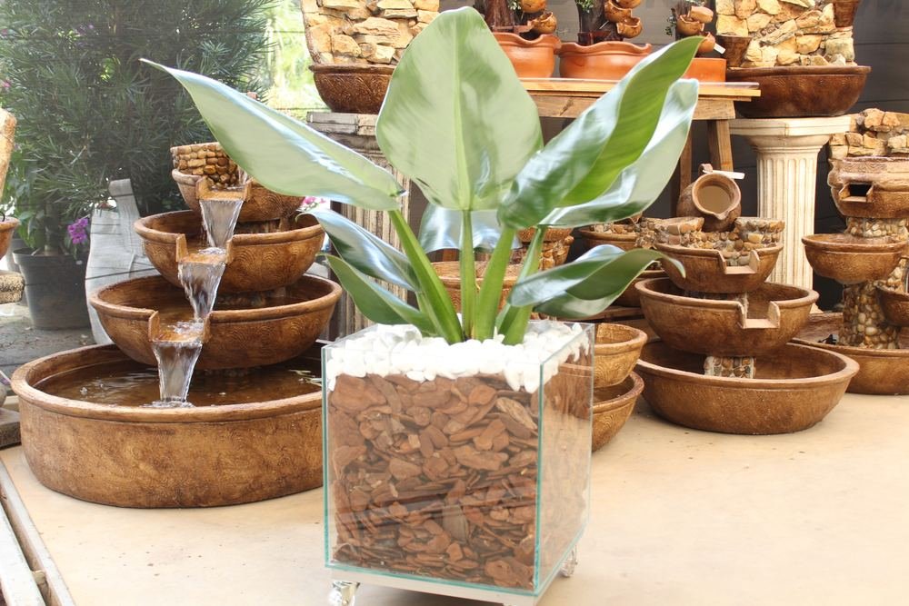 Vasos, cachepots e fontes decorativas de cerâmica na Nikey